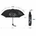 Teleskop Regenschirm Schirm Taschenschirm Städte Deutschland – Galeriebild 2, Artikelnummer 2290