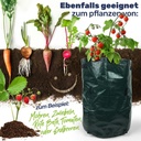 Pflanzsack für Garten Gemüse – Galeriebild 1, Artikelnummer 17084