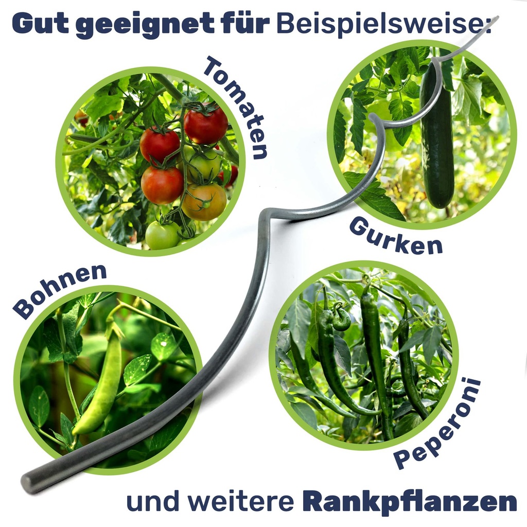 Tomatenspiralstäbe Rankhilfe Pflanzstab Rankstäbe 110 cm – Galeriebild 1, Artikelnummer 17022