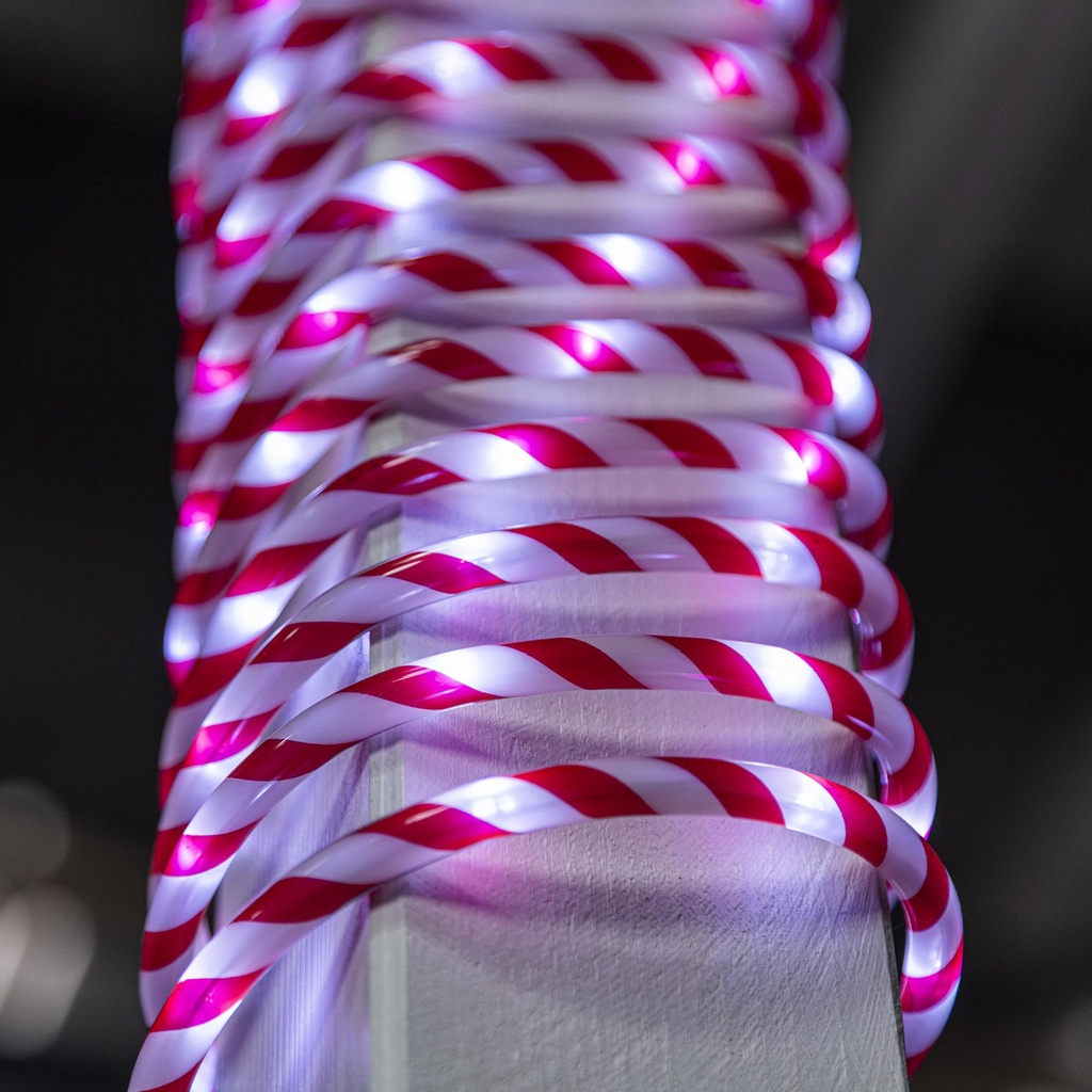 LED Lichterschlauch 6m, flexibel formbar rot / weiss, Artikelnummer 18519
