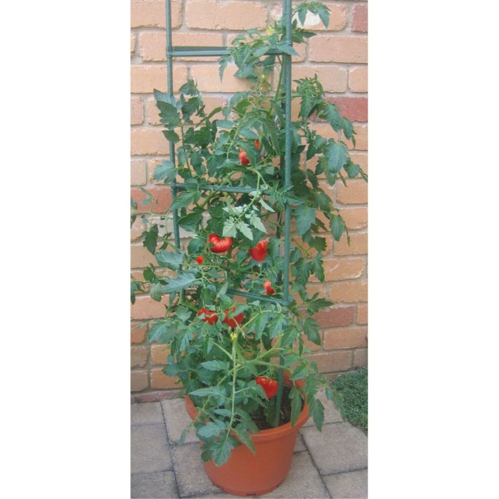 Tomatenkäfig Rankhilfe für Kletterpflanzen Gemüse und Blumen – Galeriebild 1, Artikelnummer 17214