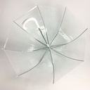 Transparenter Stockschirm mit Automatik, stabiler Regenschirm 83 cm – Galeriebild 1, Artikelnummer 17207