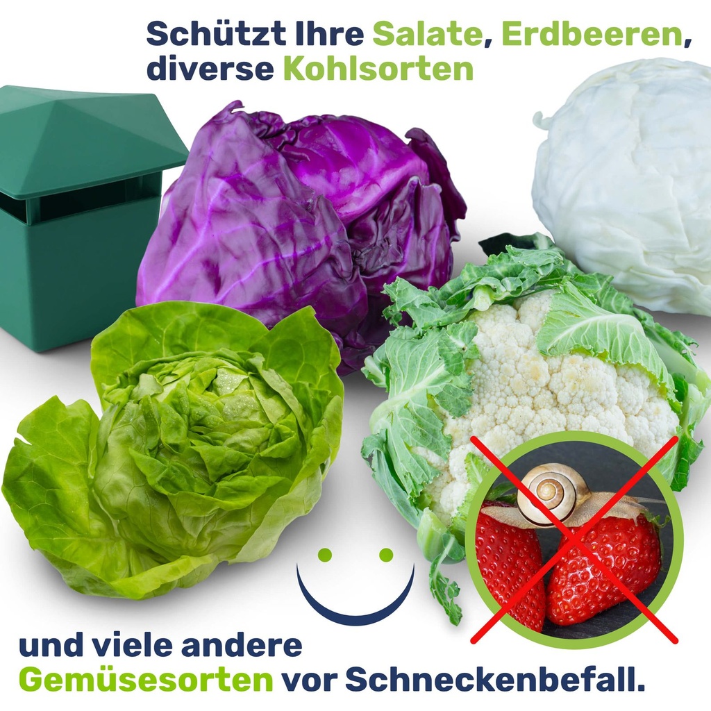 Schneckenfalle Set Schneckenschutz Garten – Galeriebild 5, Artikelnummer 17090