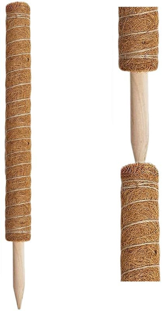 Erweiterbare Pflanzenstütze mit Kokosfilz – Rankhilfe 60 cm – Galeriebild 1