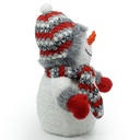 Leuchtender Schneemann 24 cm LED Weihnachtsdeko batteriebetrieben – Galeriebild 6, Artikelnummer 8169