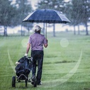 Großer Golfschirm Regenschirm Stockschirm  Automatik XXL 132 cm – Galeriebild 7, Artikelnummer 2293