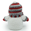 Leuchtender Schneemann 24 cm LED Weihnachtsdeko batteriebetrieben – Galeriebild 7, Artikelnummer 8169
