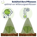 Pflanzenhut Pflanzenschutz Pflanzen Pflanzhilfe Gartenglocken Set – Galeriebild 3, Artikelnummer 17044