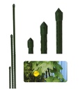 Pflanzstab Rankhilfe Stahl mit Kunststoff Ummantelung grün 120 cm – Galeriebild 4