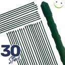 Pflanzstab Rankhilfe Stahl mit Kunststoff Ummantelung grün 120 cm – Galeriebild 3