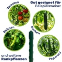 Pflanzstab Rankhilfe Stahl mit Kunststoff Ummantelung grün 120 cm – Galeriebild 1, Artikelnummer 17052