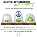 Minigewächshaus 3er Glockenförmig Schutz für Jungpflanzen Kunststoff – Galeriebild 4, Artikelnummer 17234