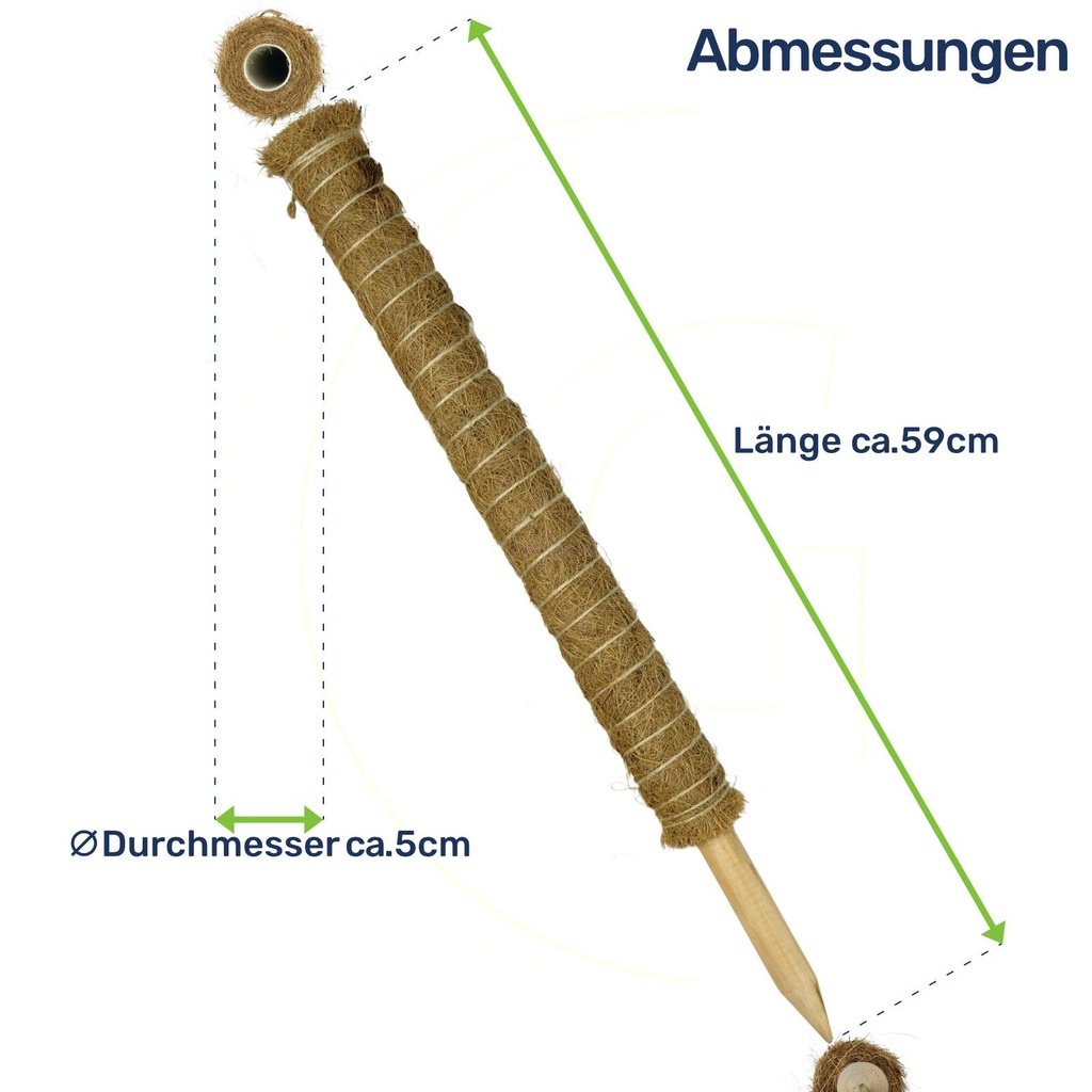 Erweiterbare Pflanzenstütze mit Kokosfilz – Rankhilfe 60 cm – Galeriebild 2
