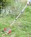 Rollsammler mit Teleskopstiel ausziehbar 52–120 cm Obst Nuss Sammler – Galeriebild 1, Artikelnummer 18150