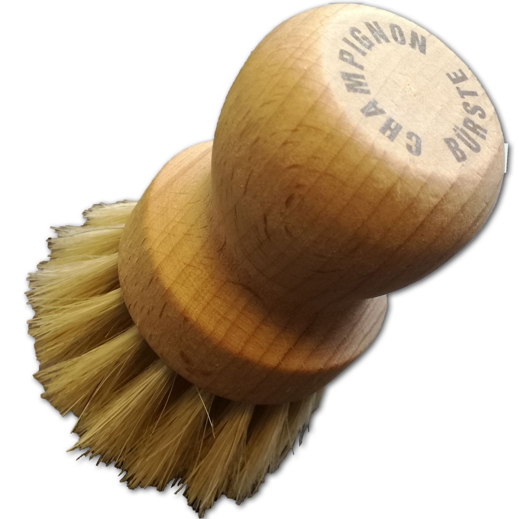 Champignonbürste Pilzbürste Champignon Pilz Putz Bürste aus Holz – Galeriebild 1, Artikelnummer 10018