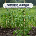 Bambus Splittstäbe 40 cm – Pflanzstäbe Rankhilfe für Garten & Topf – Galeriebild 5, Artikelnummer 18027