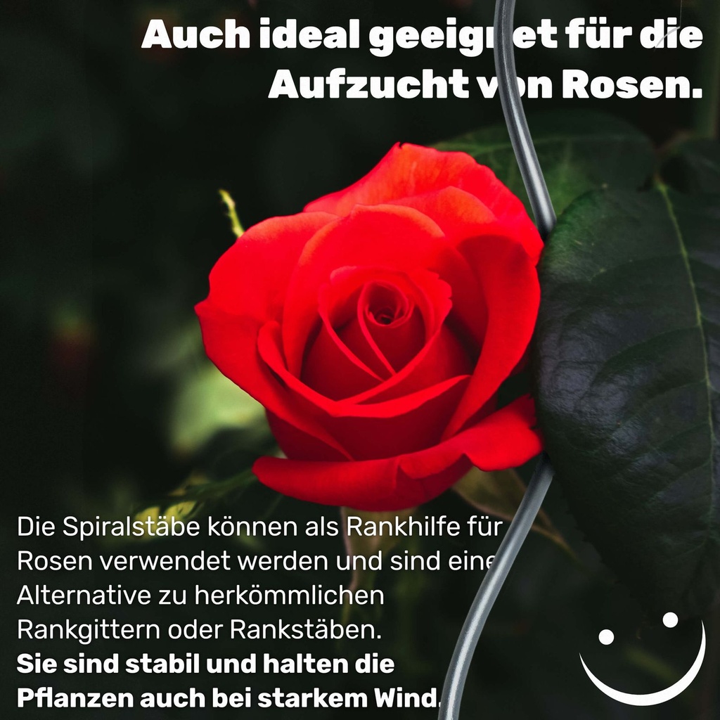 Tomatenspiralstäbe Rankhilfe Pflanzstab Rankstäbe 110 cm – Galeriebild 3, Artikelnummer 17022