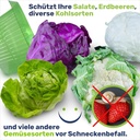 Schneckenschutzring Set Schneckenschutz Pflanzenkragen – Galeriebild 5, Artikelnummer 17034