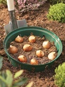 Pflanzkorb Pflanzkörbe für Zwiebelpflanzen Ø22 cm – Galeriebild 2