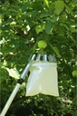 Praktischer Obstpflücker mit Teleskopstange Ideal für Äpfel und Birnen – Galeriebild 1, Artikelnummer 2941