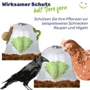 Minigewächshaus 3er Glockenförmig Schutz für Jungpflanzen Kunststoff – Galeriebild 5, Artikelnummer 17234