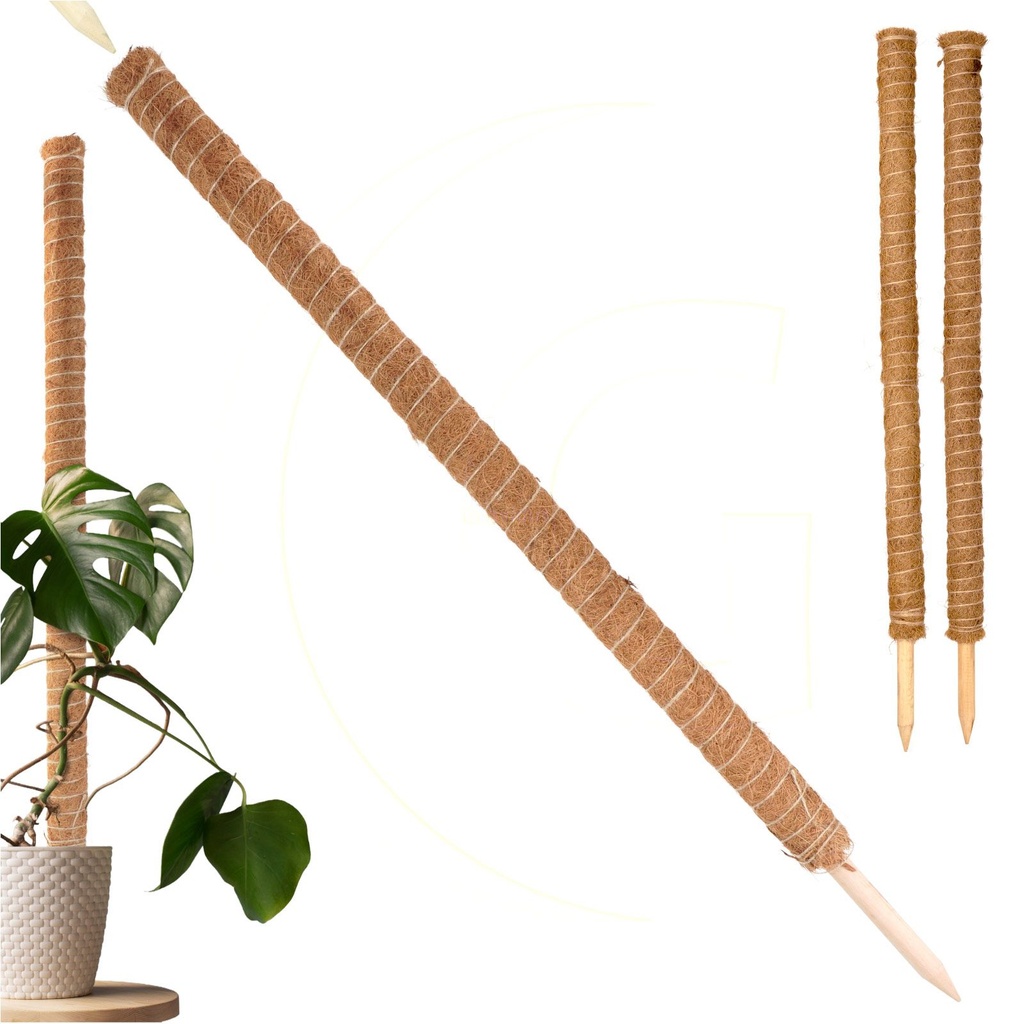 ​Erweiterbare Rankhilfe 110 cm mit Kokosfilz für Zimmerpflanzen​