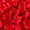 1000 Rosenblätter Rosenblüten Rosen Blütenblätter Valentinstag Deko – Galeriebild 1, Artikelnummer 3062