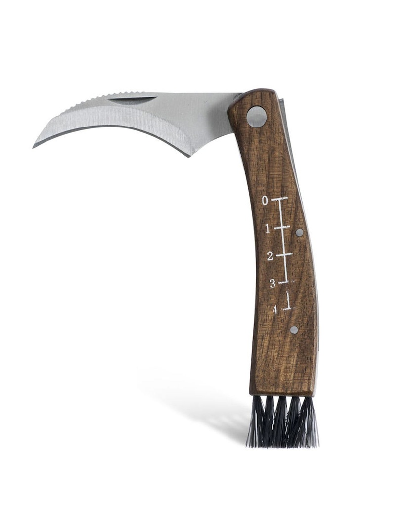 Pilzmesser Pilz Schneider Bürste Tasche im Futteral Walnuss Holz – Galeriebild 2, Artikelnummer 8308