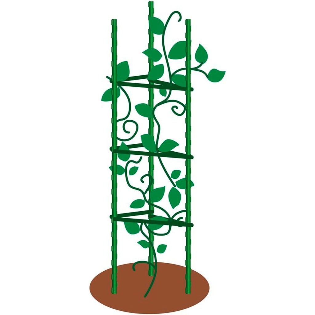 Tomatenkäfig Rankhilfe für Kletterpflanzen Gemüse und Blumen – Galeriebild 2, Artikelnummer 17214