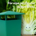 Schneckenfalle Set Schneckenschutz Garten – Galeriebild 4, Artikelnummer 17090