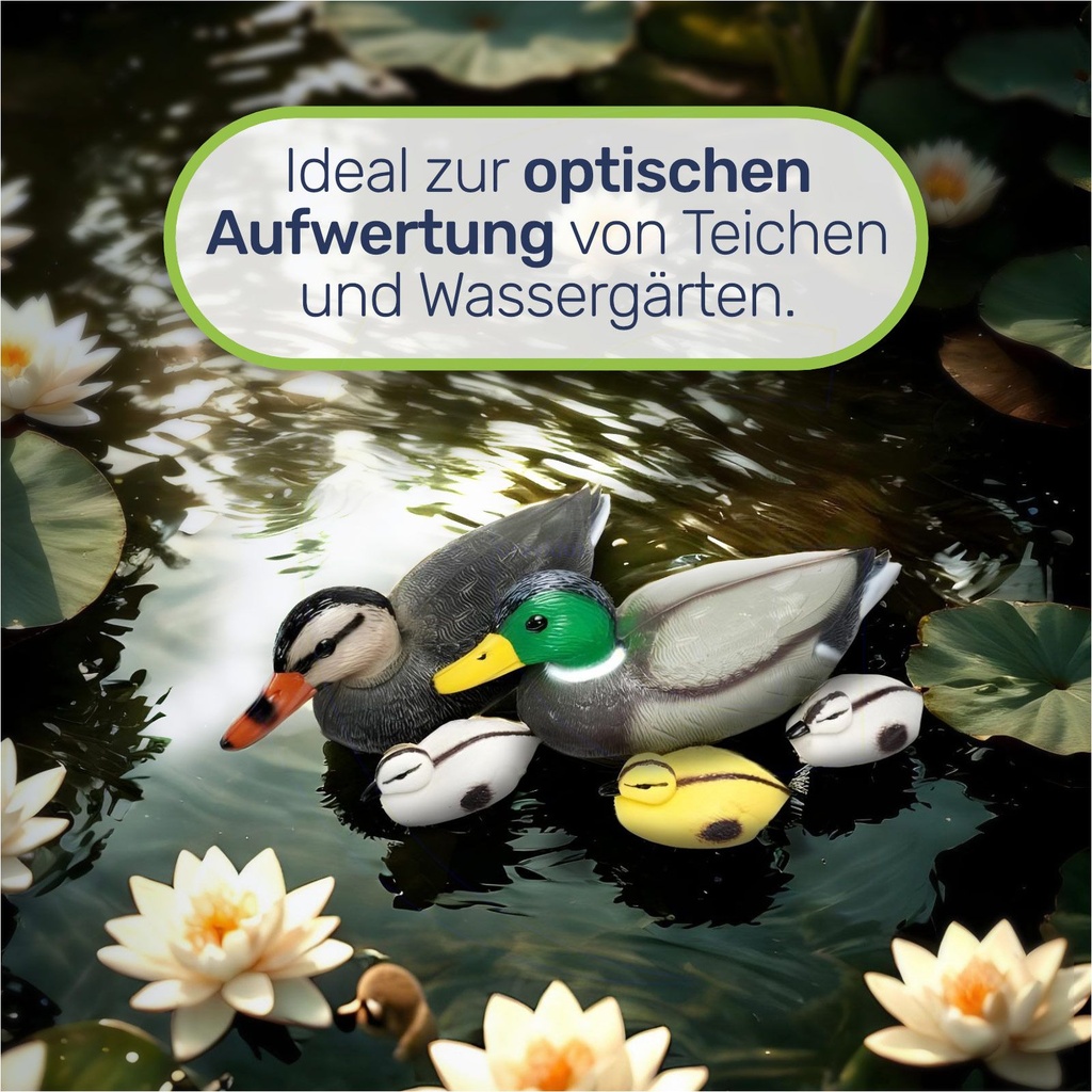 Schwimmenten-Set aus Kunststoff 5-teilig Realistische Teichdeko – Galeriebild 2, Artikelnummer 17887