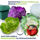 Schneckenfalle Set Schneckenschutz Garten – Galeriebild 5, Artikelnummer 17090