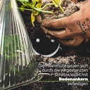 Pflanzenhut Pflanzenschutz Pflanzen Pflanzhilfe Gartenglocken Set – Galeriebild 2, Artikelnummer 17044