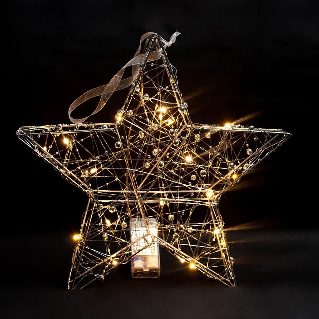 20 LED Weihnachtsstern Adventsstern Weihnachtsbeleuchtung – Galeriebild 1, Artikelnummer 13040