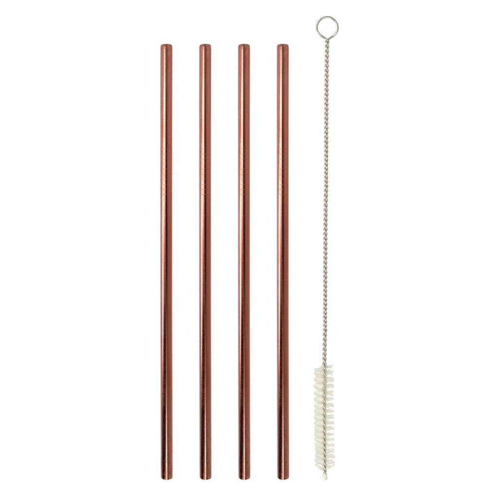 Edelstahl 4er Set Trinkhalme 21,5cm Strohhalme Barzubehör mit Bürste