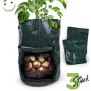 Pflanzsack für Garten Gemüse – Galeriebild 5