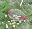 Rollsammler mit Teleskopstiel ausziehbar 52–120 cm Obst Nuss Sammler