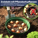 Pflanzkorb Pflanzkörbe für Zwiebelpflanzen Ø22 cm – Galeriebild 2, Artikelnummer 17459