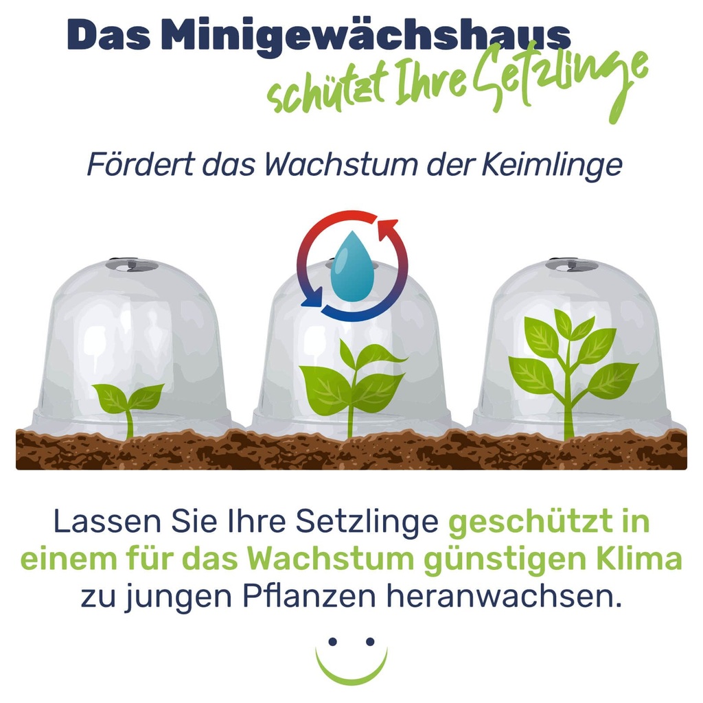 Minigewächshaus 3er Glockenförmig Schutz für Jungpflanzen Kunststoff – Galeriebild 4, Artikelnummer 17234