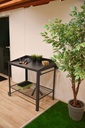 Mobiler Pflanztisch DIANA aus Stahl, rollbar und robust für den Garten – Galeriebild 5, Artikelnummer 17436