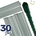 Pflanzstab Rankhilfe Stahl mit Kunststoff Ummantelung grün 90 cm – Galeriebild 6