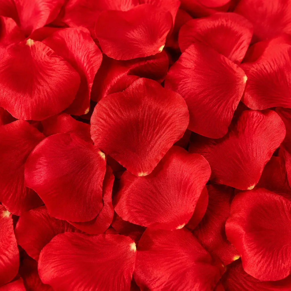 1000 Rosenblätter Rosenblüten Rosen Blütenblätter Valentinstag Deko – Galeriebild 1, Artikelnummer 3062