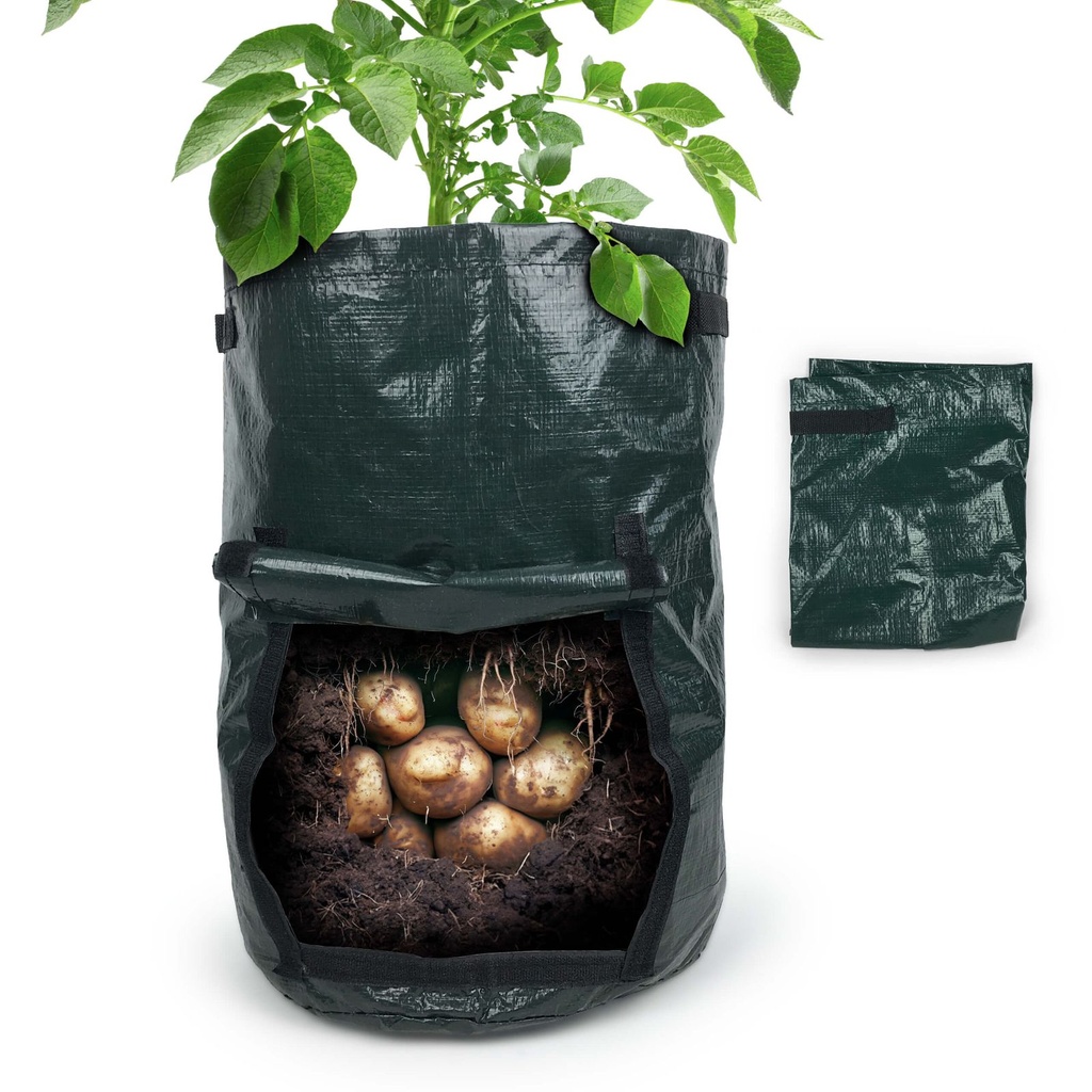 Pflanzsack für Garten Gemüse – Galeriebild 2