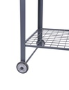 Mobiler Pflanztisch DIANA aus Stahl, rollbar und robust für den Garten – Galeriebild 3, Artikelnummer 17436