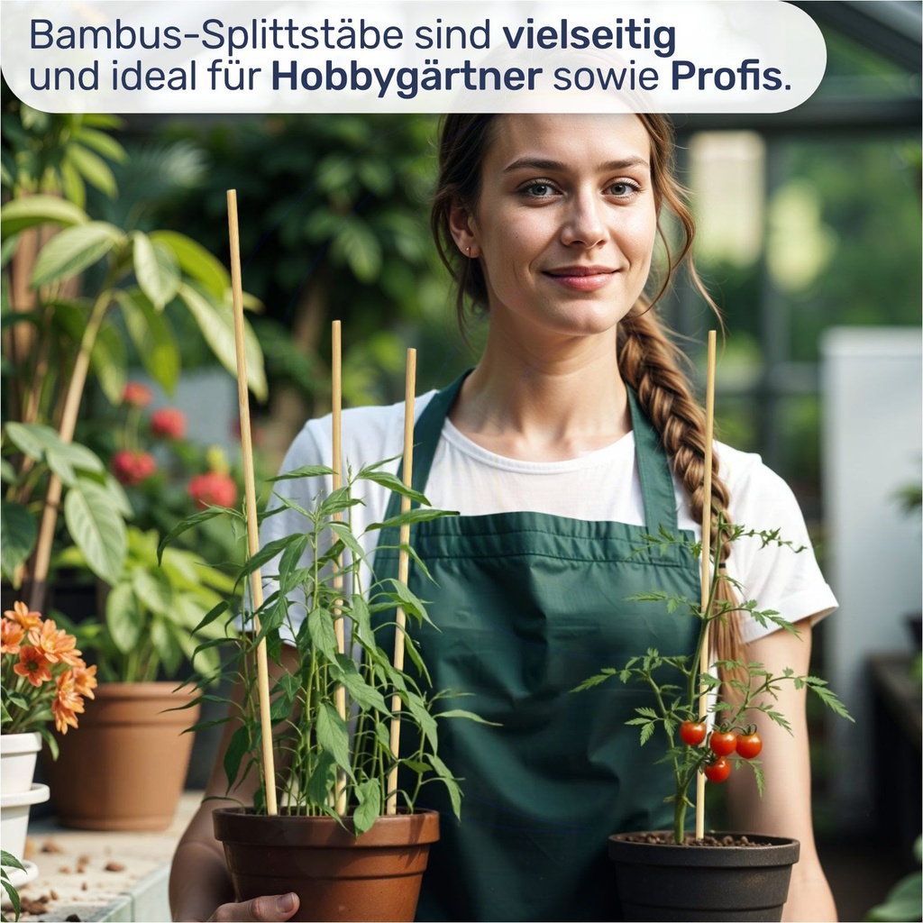 Bambus Splittstäbe 40 cm – Pflanzstäbe Rankhilfe für Garten & Topf – Galeriebild 3, Artikelnummer 18027