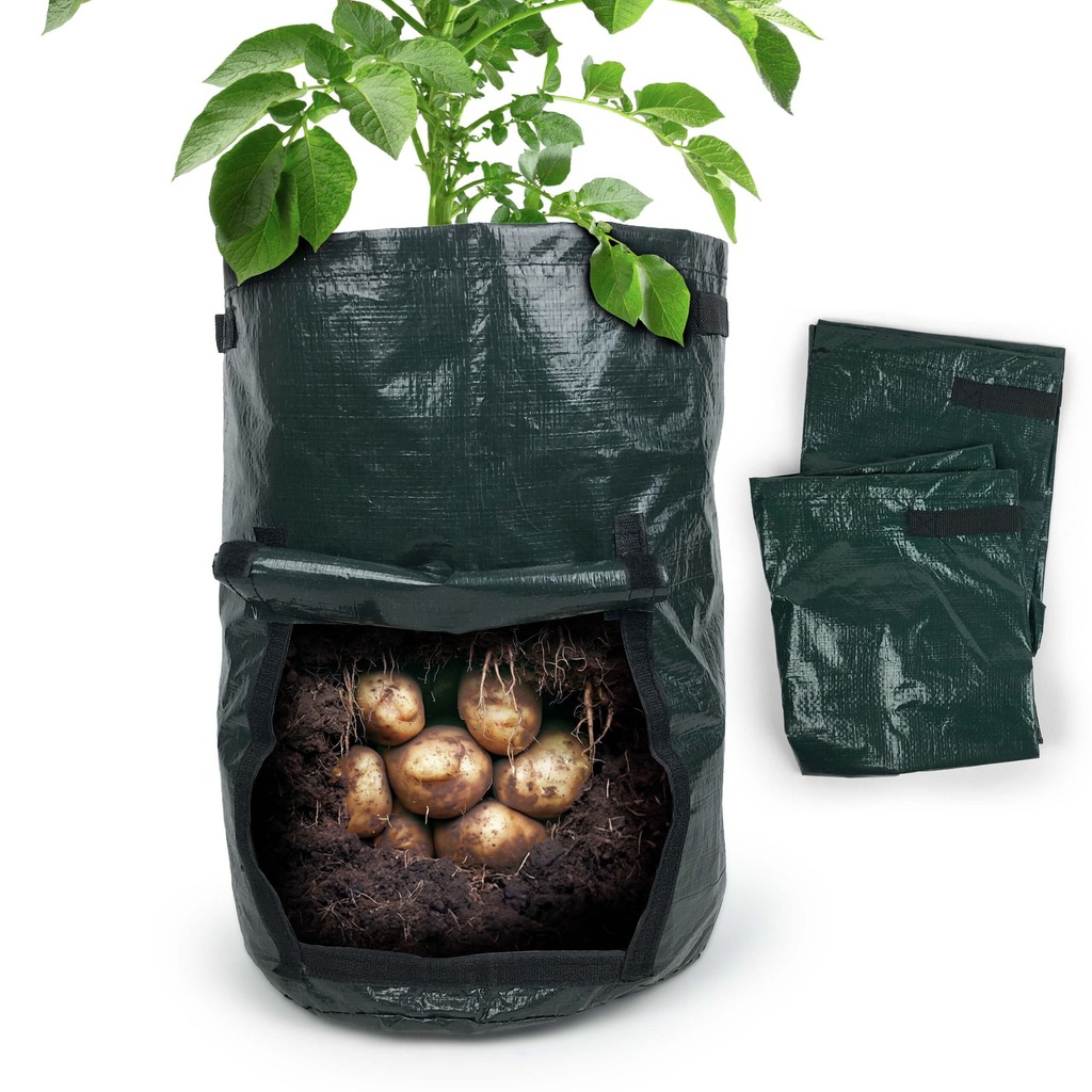 Pflanzsack für Garten Gemüse – Galeriebild 4