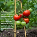 Bambus Splittstäbe 50 cm – Pflanzstäbe Rankhilfe für Garten & Topf – Galeriebild 1, Artikelnummer 18032