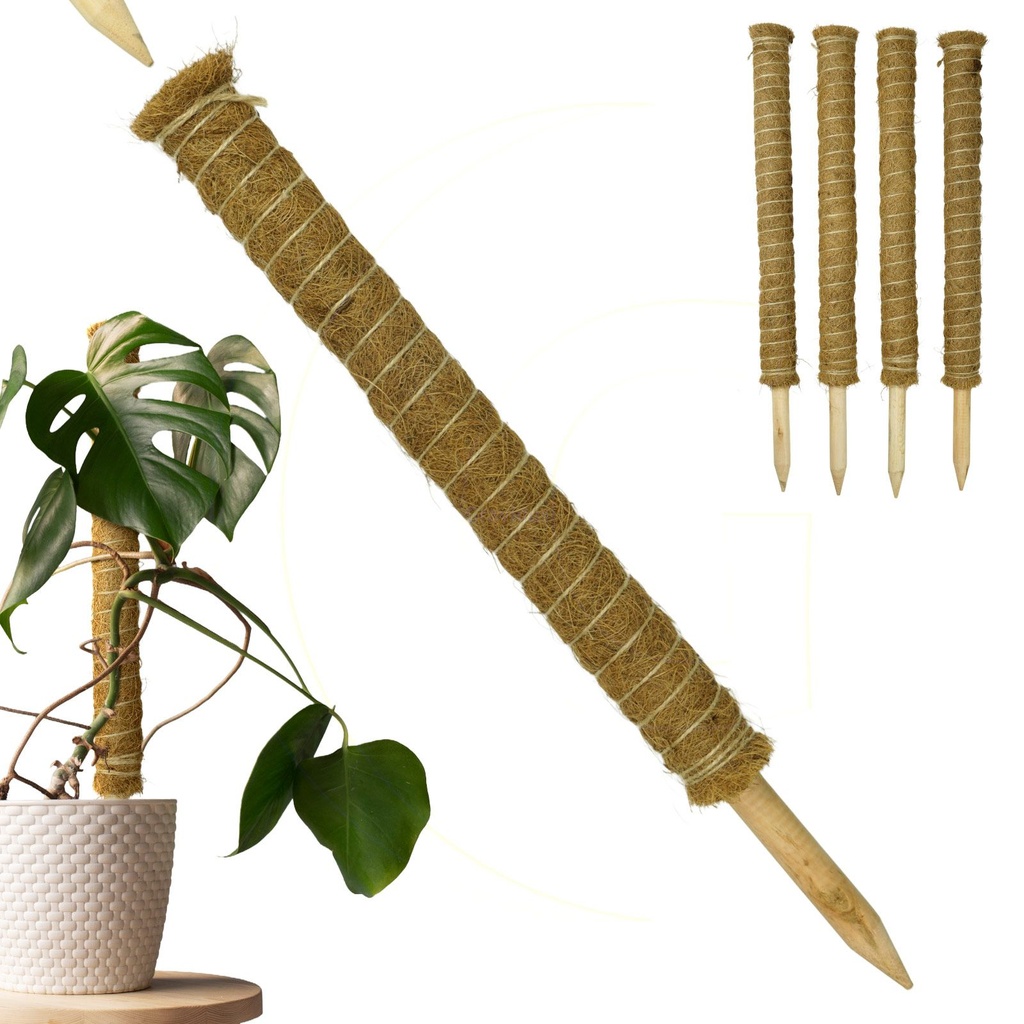 Erweiterbare Pflanzenstütze mit Kokosfilz – Rankhilfe 60 cm