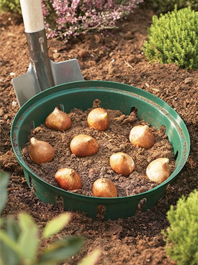 Pflanzkorb Pflanzkörbe für Zwiebelpflanzen Ø22 cm – Galeriebild 2