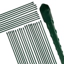Pflanzstab Rankhilfe Stahl mit Kunststoff Ummantelung grün 90 cm – Galeriebild 5